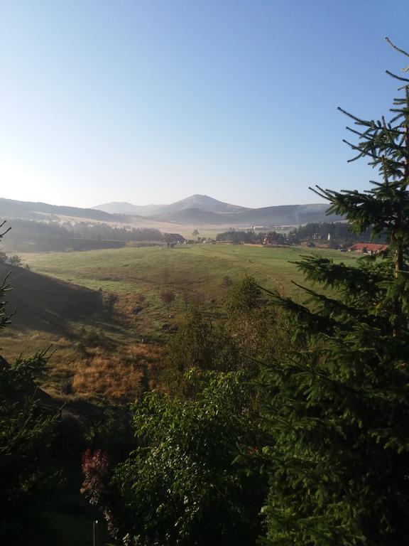 Apartment Vesna Zlatibor